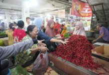 Harga Cabai Turun Jadi Rp35 Ribu/Kg, Inflasi di Sumut Terkendali