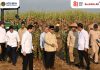 Dampingi Presiden Prabowo Panen Raya di Malang, Menteri Nusron: Ketahanan Pangan Butuh Kepastian Hukum Tanah