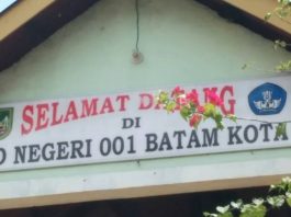 sdn 001 dan sdn 002