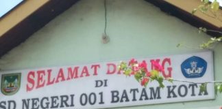 sdn 001 dan sdn 002