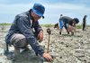 Peringati Hari Kelautan Nasional, Hari Mangrove Sedunia, NAFAS, POSSI Sumut, Mapala PTMSI I Selenggarakan Aksi Bela Negara 2026