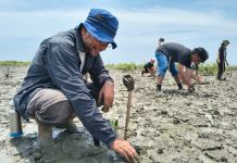Peringati Hari Kelautan Nasional, Hari Mangrove Sedunia, NAFAS, POSSI Sumut, Mapala PTMSI I Selenggarakan Aksi Bela Negara 2026