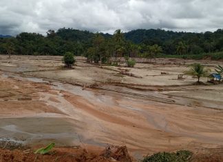 Pasca Bencana Lahan Persawahan di Anggoli Belum Dibenahi