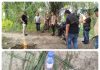 Gerebek Sarang Narkoba di Ladang Sawit, 4 Pria Kabur Saat Polisi Datang