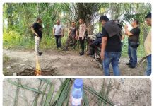Gerebek Sarang Narkoba di Ladang Sawit, 4 Pria Kabur Saat Polisi Datang