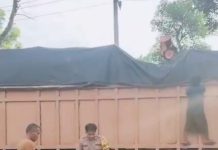 Pohon Tumbang Timpa Truk di Desa Pematang Tengah, Polisi Gercep Evakuasi Lokasi