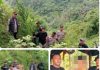 Berawal dari Informasi Warga, Polisi Langkat Ungkap 11 Batang Ganja di Perladangan