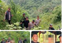 Berawal dari Informasi Warga, Polisi Langkat Ungkap 11 Batang Ganja di Perladangan