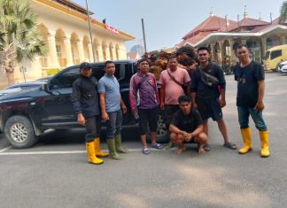 PTPN IV Lapor ke Polda Sumut, Berharap Pelaku Pencurian Sawit Diproses Hukum