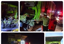 Truk Box Tabrak Tronton di Tol KM 54.700 Sergai, Tiga Orang Tewas