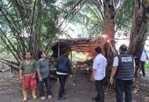 Respons Cepat Laporan Viral, Polres Sergai dan Polsek Kotarih Musnahkan Dua Gubuk Diduga Jadi Lokasi Penyalahgunaan Narkoba