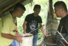 Polsek Pancurbatu Temukan Ratusan Batang Ganja Kering Yang Sudah Dipanen Tak Bertuan