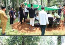 Pedagang Korban Tertimpa Dahan Pohon di Lapangan Merdeka Binjai Dimakamkan, Pemko Beri Tali Asih
